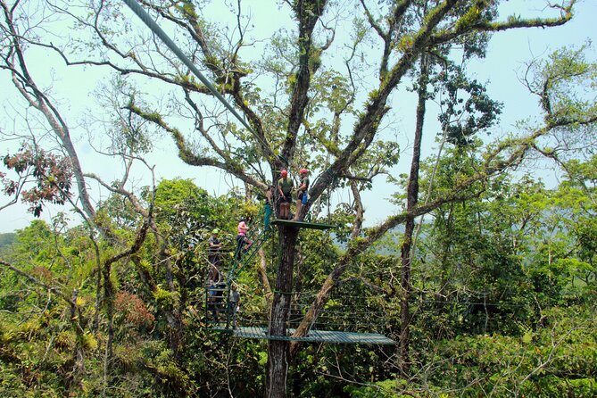 La Fortuna Waterfall and Canopy Tour - Reviews and Ratings