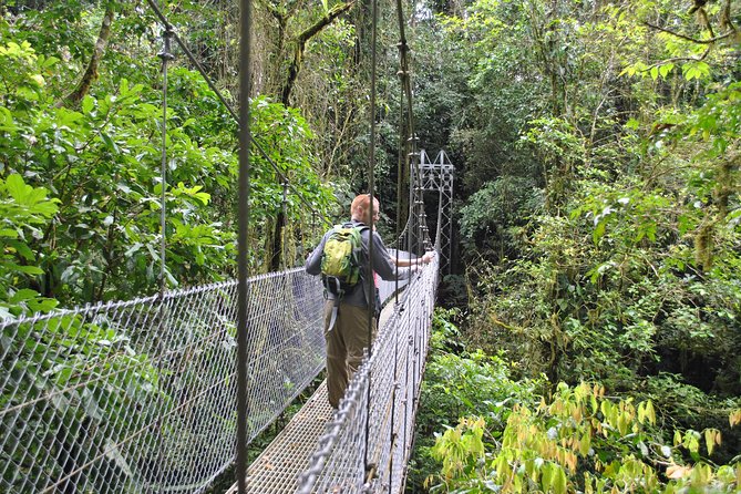 La Fortuna Waterfall, Hanging Bridges, Arenal Volcano Combo Tour - La Fortuna Waterfall