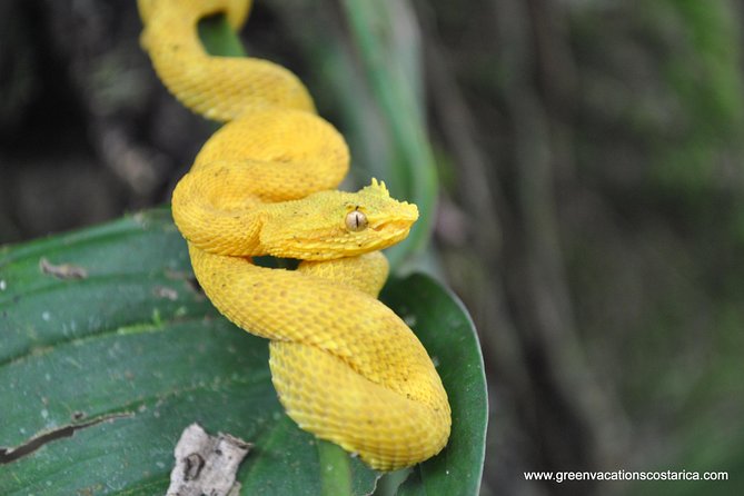 La Fortuna Wildlife Safari Float Tour - Tour Overview and Details