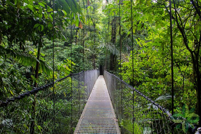 La Fortunas 3 Essentials Private Tour - Key Points