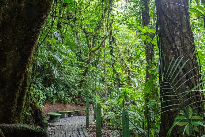 La Fortunas 3 Essentials Private Tour - Included Amenities