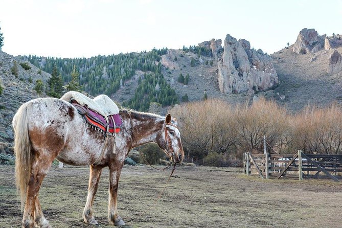 La Fragua Horseback Riding - Key Points
