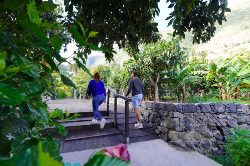 La Gomera: Entry Ticket for The Ethnographic Park - Key Points