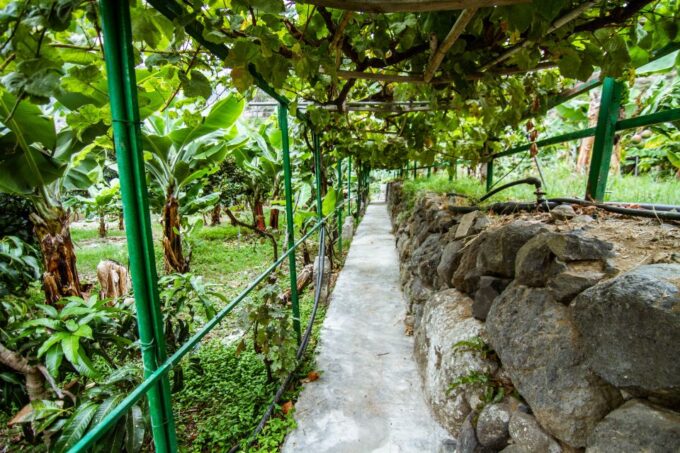 La Gomera: Entry Ticket for The Ethnographic Park - Traditional Gomeran Experiences