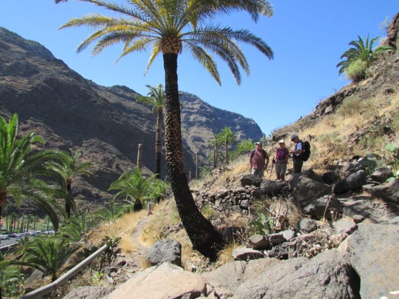 La Gomera: Flower Guided Tour With Butterflies and Bees - Booking and Cancellation