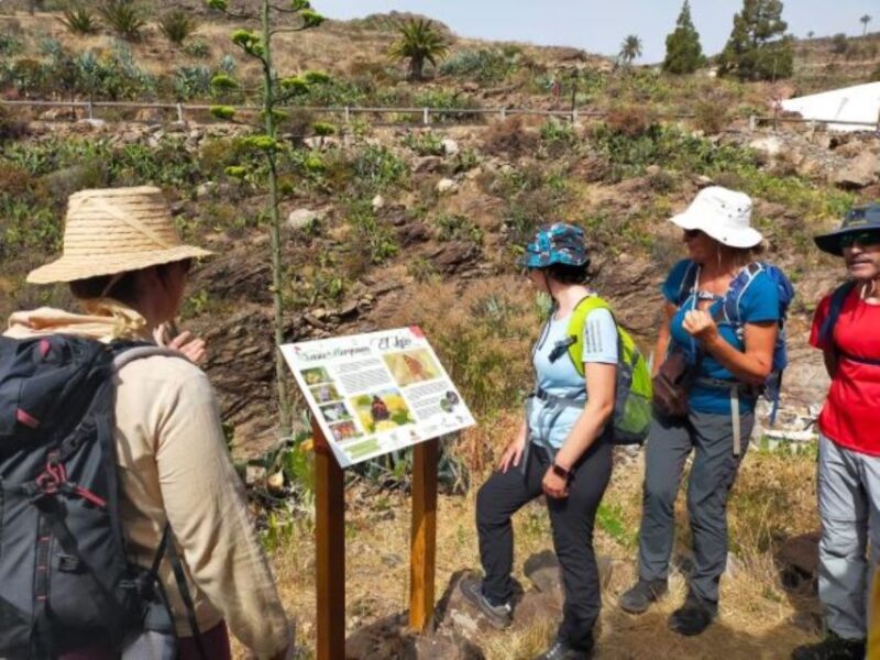 La Gomera: Flower Guided Tour With Butterflies and Bees - Important Information