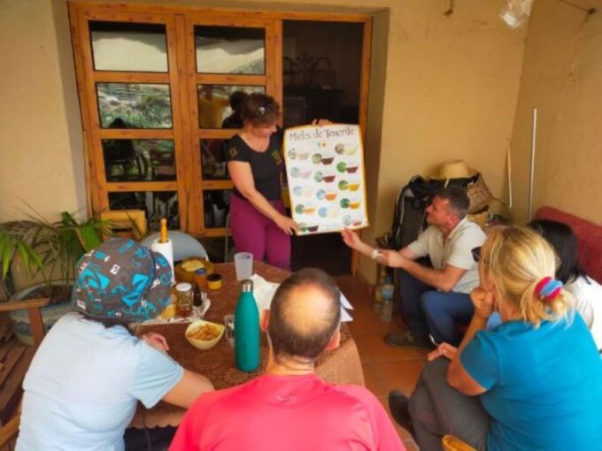La Gomera: Flower Guided Tour With Butterflies and Bees - Engaging Beekeeping Experience