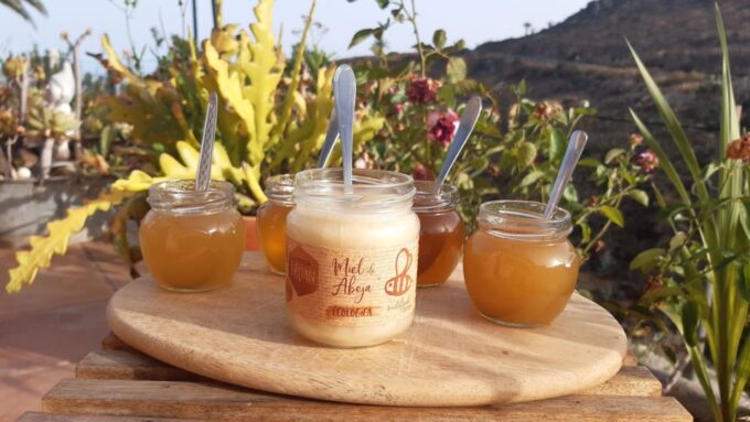 La Gomera: Flower Guided Tour With Butterflies and Bees - Authentic Honey Tasting