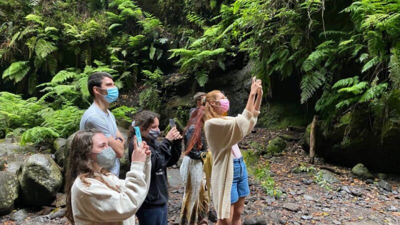 La Gomera: Garajonay National Park Entry Ticket and Tour - Included in the Tour