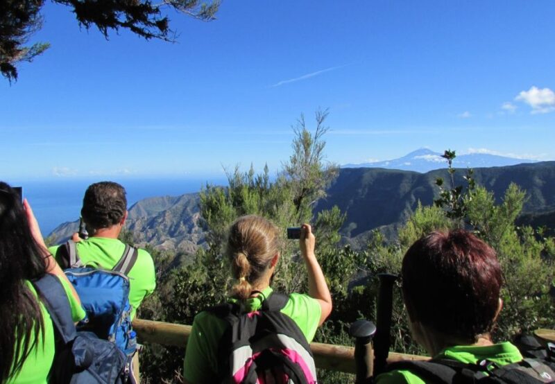 La Gomera: Garajonay National Park Forest Walk - Experience Highlights