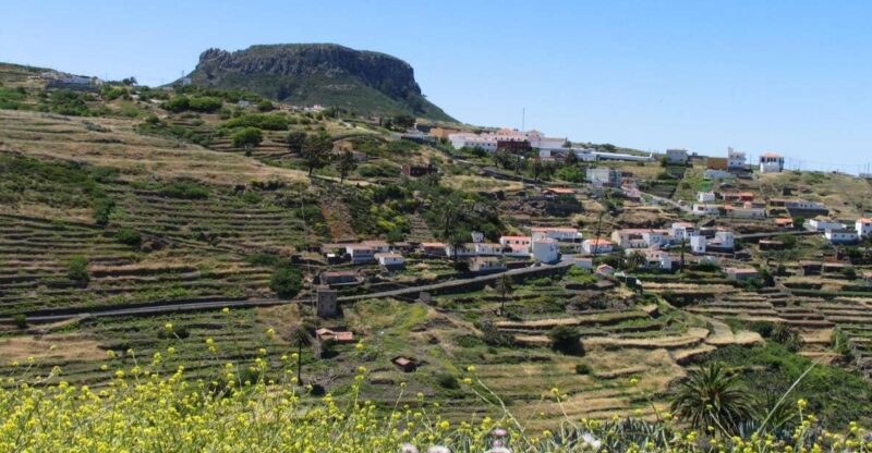 La Gomera: Guided Hiking Tours From Valle Gran Rey - Key Points