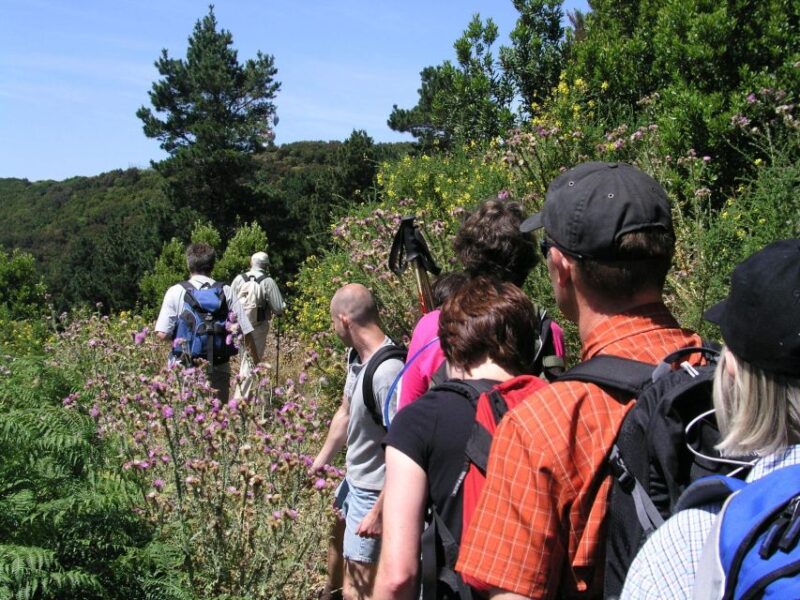 La Gomera: Guided Hiking Tours From Valle Gran Rey - Varied Hikes Through Diverse Landscapes