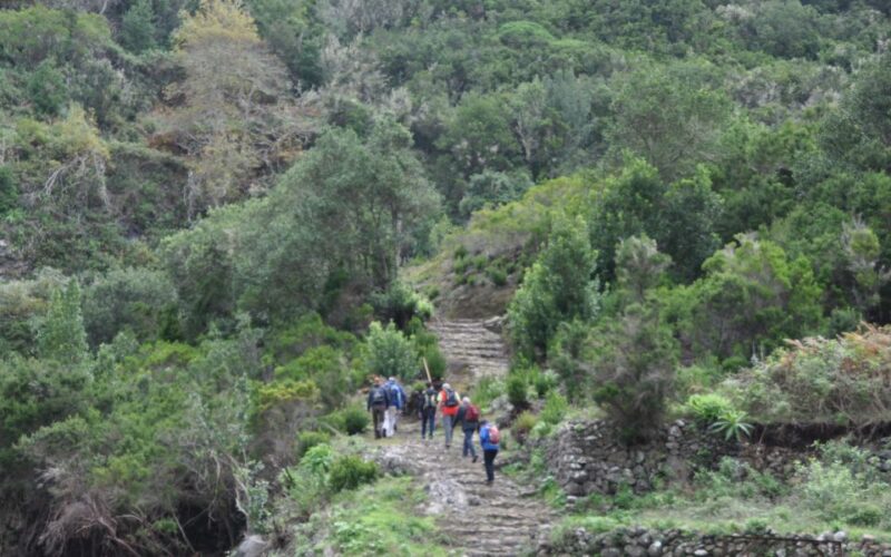 La Gomera: Hamlets of the North Hiking Route Tour - Booking Information