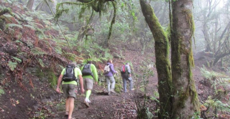 La Gomera: Hamlets of the North Hiking Route Tour - Included in the Tour