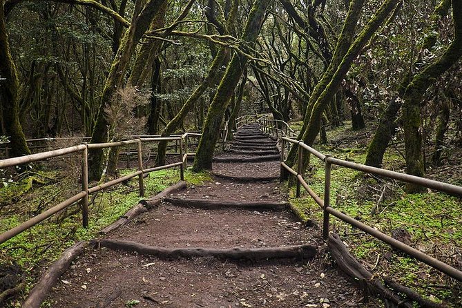 La Gomera Island Tour - Traveler Feedback