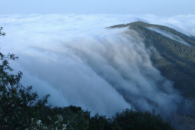 La Gomera Island Tour - Exploring Garajonay National Park