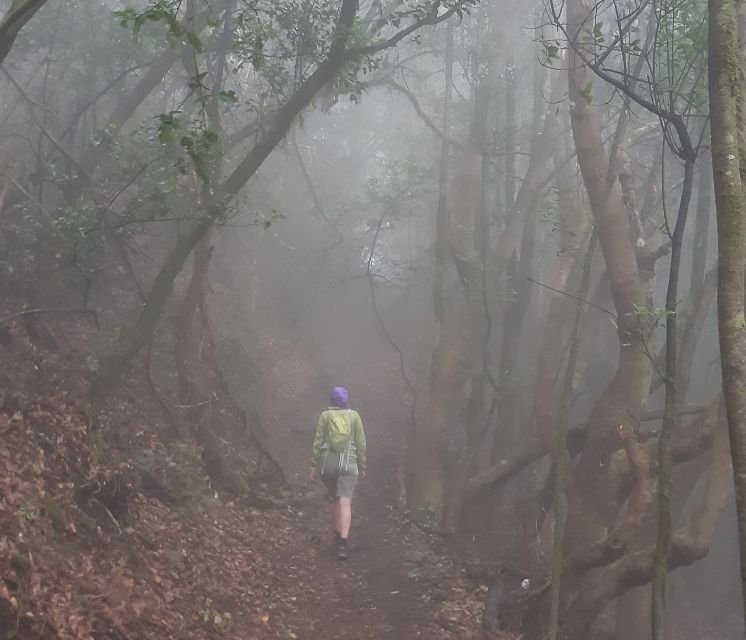 La Gomera: Laurisilva of Garajonay National Park - Key Points