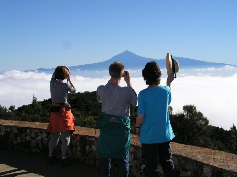 La Gomera: the Rain Forest (National Park) - Experience Highlights