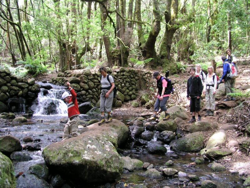 La Gomera: the Rain Forest (National Park) - Suitability and Requirements