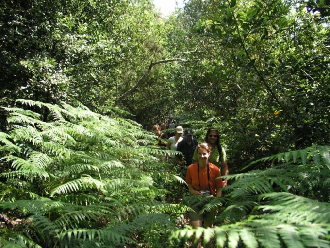 La Gomera: the Rain Forest (National Park) - Pickup Locations