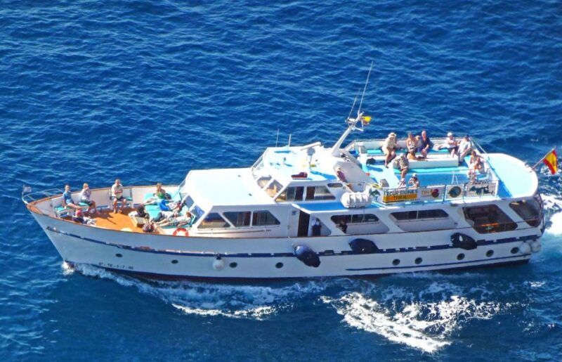 La Gomera: Whale Watching Tour on a Vintage Boat - Key Points