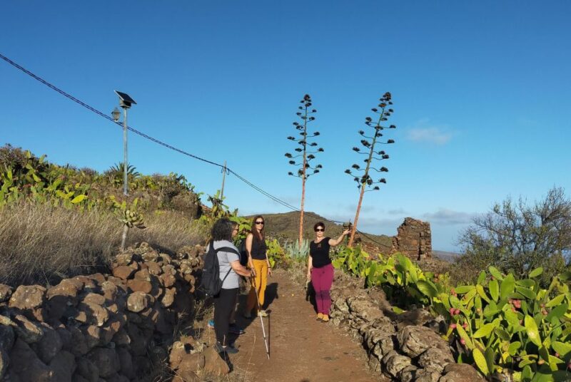 La Gomera: Winery Visit and Tasting Tour - Key Points