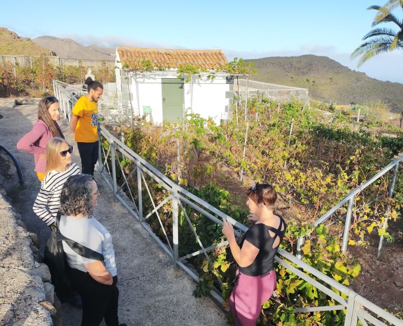 La Gomera: Winery Visit and Tasting Tour - What to Bring and Expect
