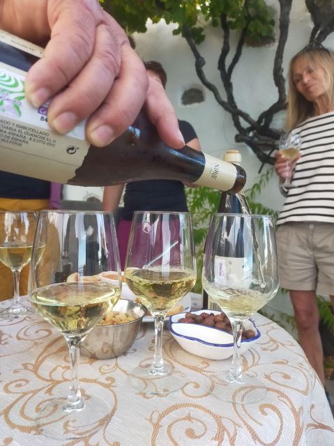 La Gomera: Winery Visit and Tasting Tour - Customer Feedback and Reviews