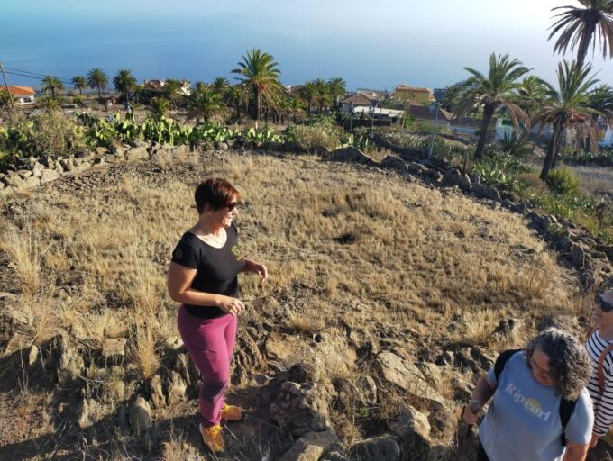 La Gomera: Winery Visit and Tasting Tour - Booking and Cancellation Policy