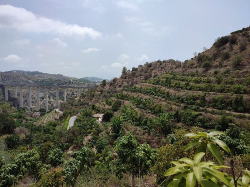 La Herradura Coffee Farm: Tour in Europes Only Plantation - Itinerary and Meeting Details