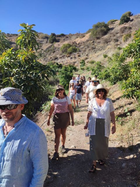 La Herradura Coffee Farm: Tour in Europe's Only Plantation - Tour Itinerary