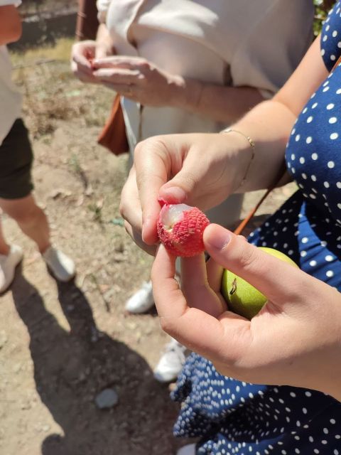 La Herradura Coffee Farm: Tour in Europe's Only Plantation - Frequently Asked Questions