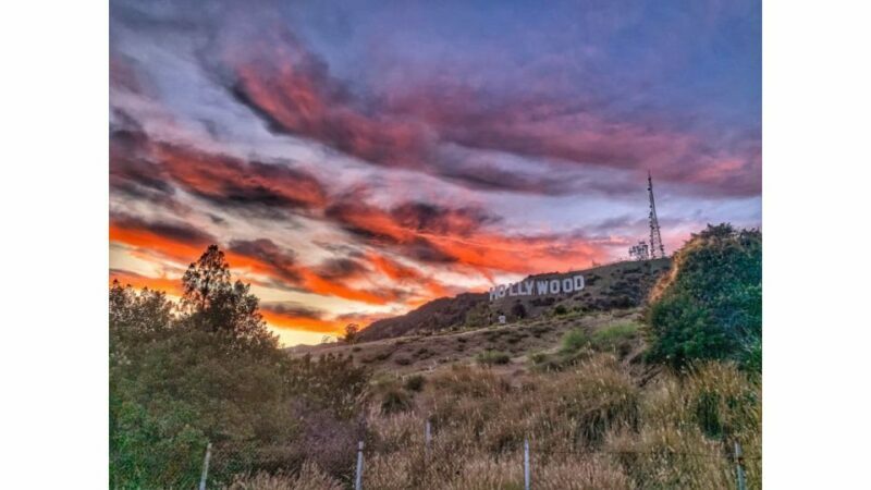 LA: Hollywood Sign Tour with Comedians, Dogs, & Epic Photos - Final Thoughts