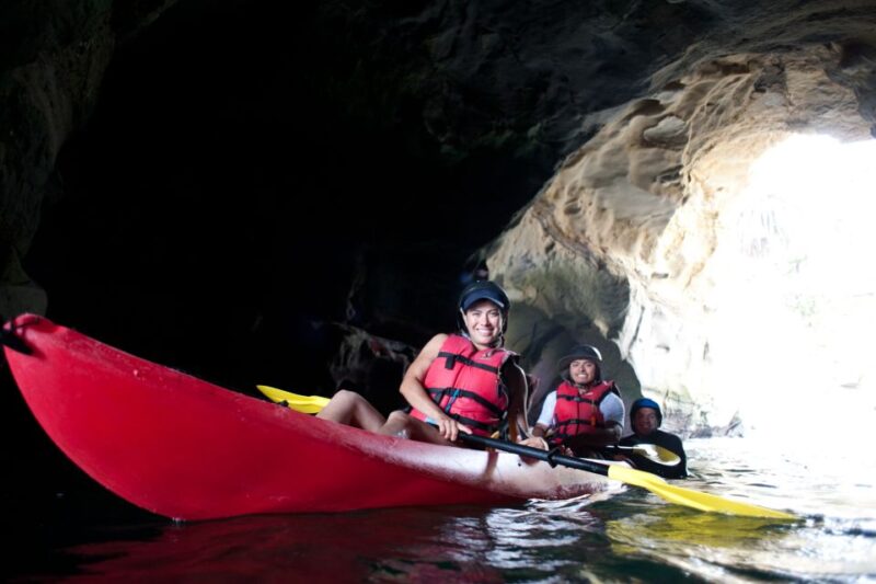 La Jolla: 2.5-Hour Kayak and Snorkel Tour - Highlights of the Experience