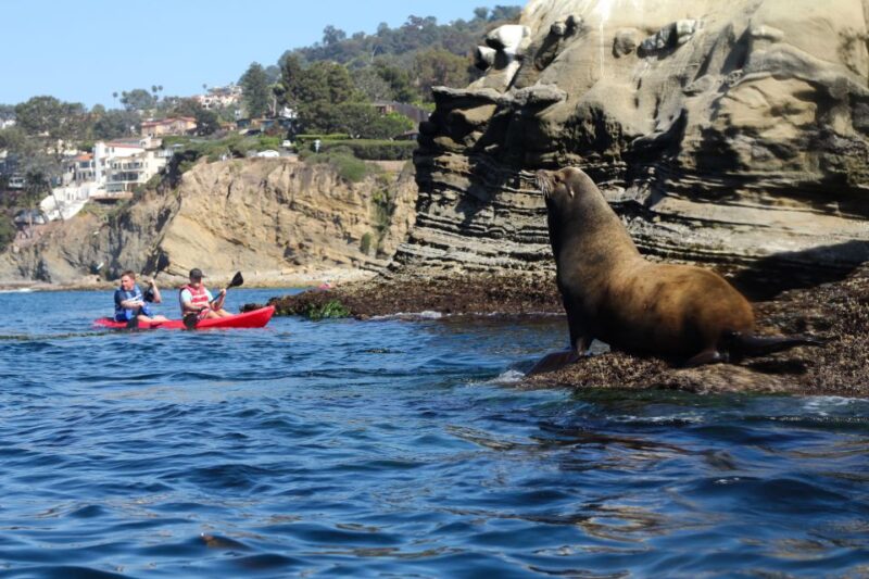 La Jolla: 2.5-Hour Kayak and Snorkel Tour - Recommended Age and Suitability