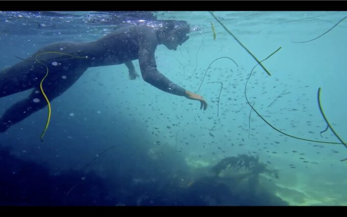 La Jolla: 2.5-Hour Kayak and Snorkel Tour - Customer Feedback and Ratings