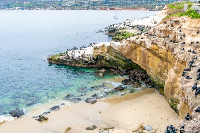 La Jolla Food and Drink Walking Tour: Sip, Savor & Sea - Highlights of La Jolla Village