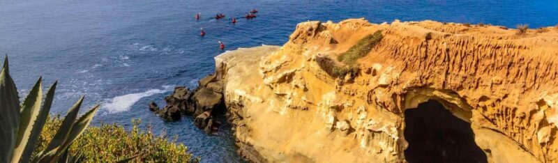 La Jolla: Full-Day Snorkel Gear Rental with Wetsuit Option - Final Thoughts: Who Will Love This?