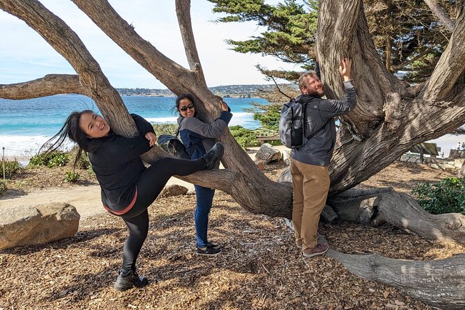 La Jolla Jig Scavenger Hunt - Accessibility and Participation