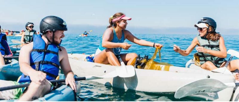 La Jolla: Sea Cave Kayaking Tour with Guide - Key Points