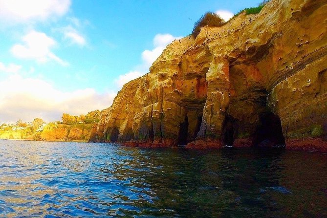 La Jolla Sea Caves Kayak Tour For Two (Tandem Kayak) - Just The Basics