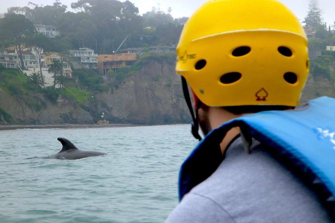 La Jolla Sea Caves Kayak Tour For Two (Tandem Kayak) - Kayaking Experience and Exploration