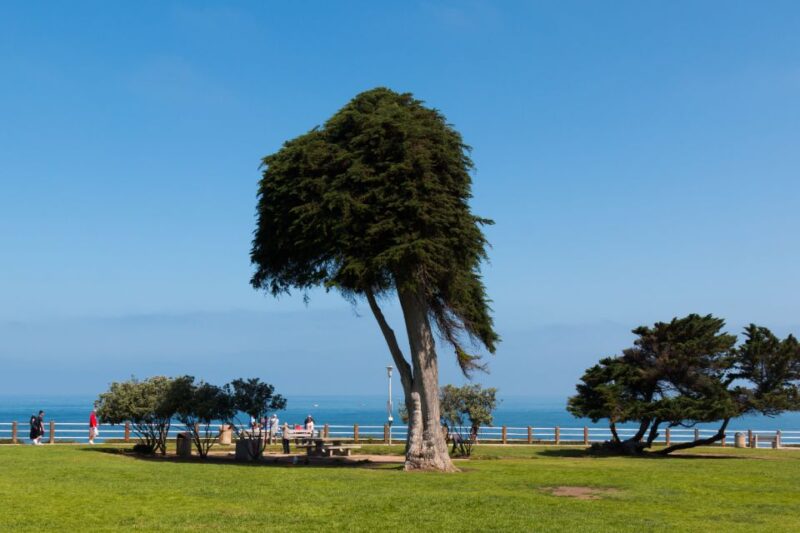 La Jolla: Self-Guided Walking Audio Tour - Tour Features