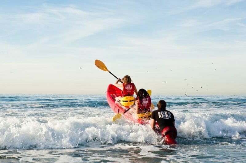 La Jolla: Sunset Kayak Tour of the 7 Caves - Considerations and Tips