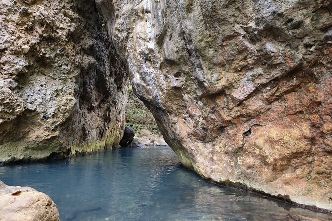 La Leona Waterfall and Lunch From Playa Del Coco - Tour Overview