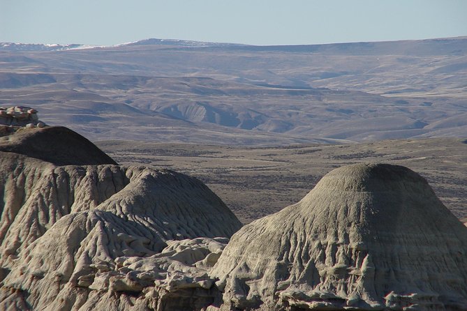La Lioness Petrified Forest - Unique Landscape and Experience