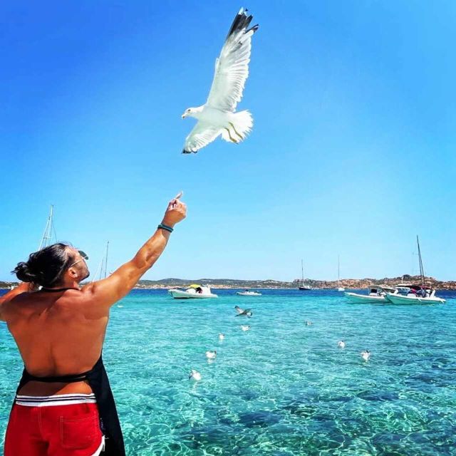 La Maddalena Archipelago: Boat Tour With Lunch! - Key Points
