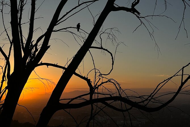 LA Night Hikers - Booking Information