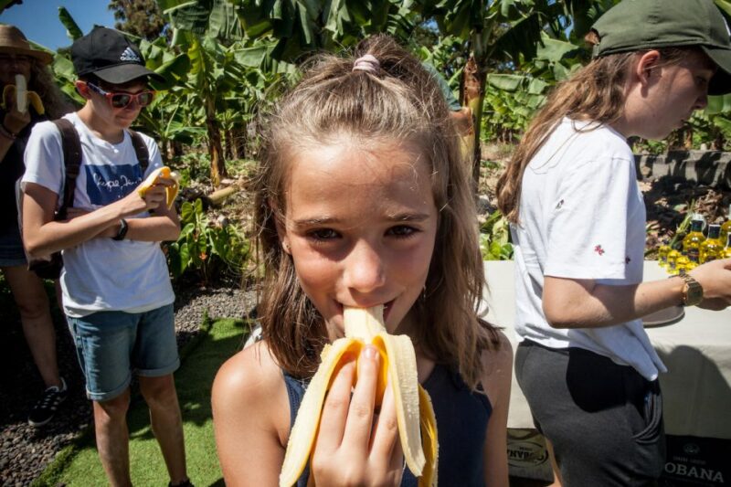 La Orotava: Eco-Banana Plantation Tour With Banana Liquor - Highlights of the Tour