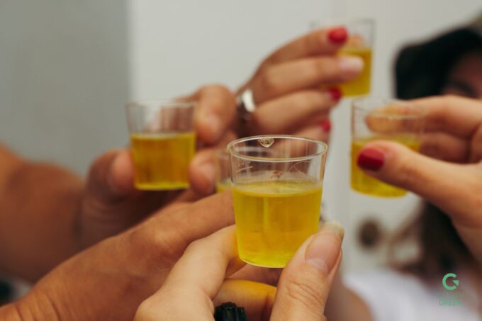 La Orotava: Eco-Banana Plantation Tour With Banana Liquor - Frequently Asked Questions